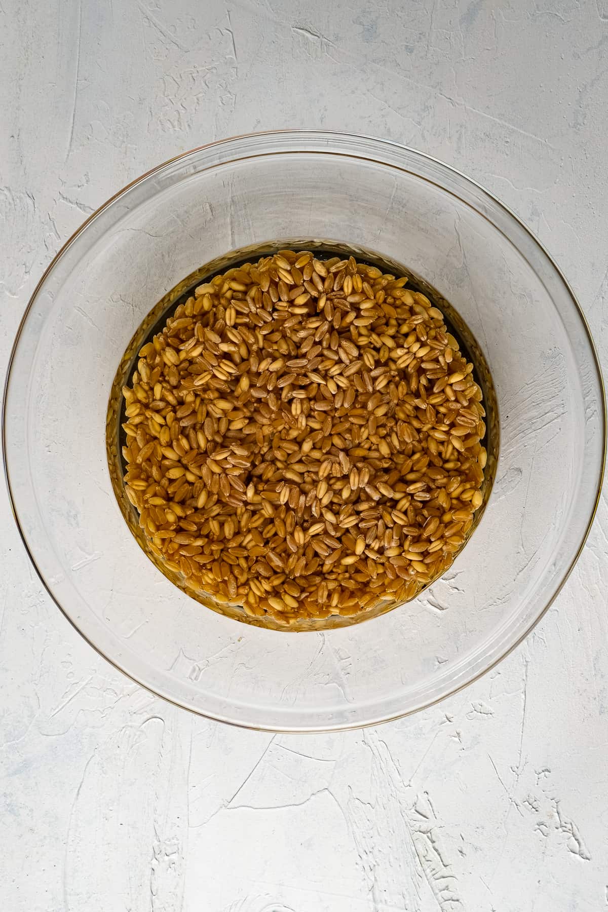 Red wheat berries in water in a glass bowl.