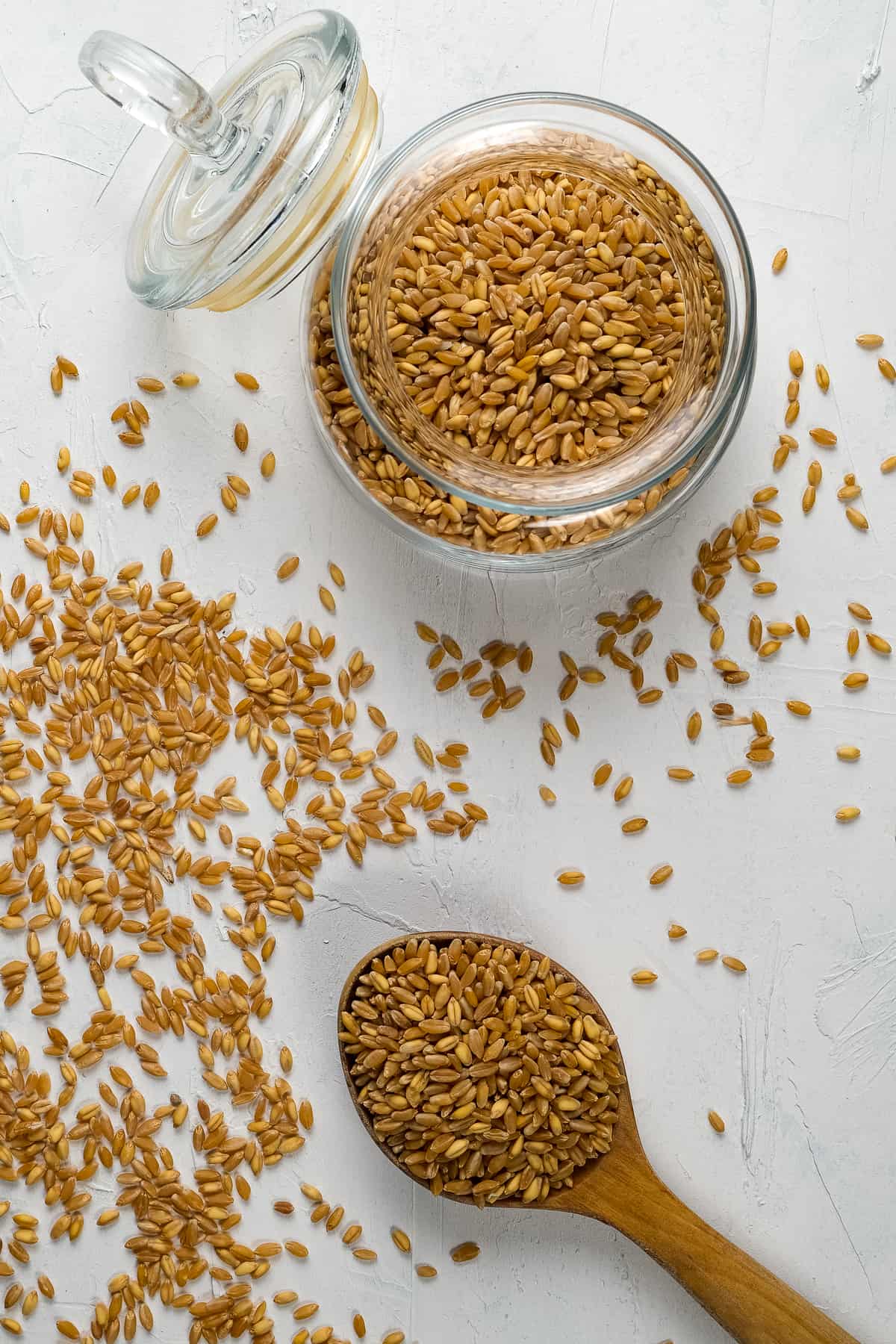 Red wheat berries in a glass jar, lid open and in a wooden spoon on a white background.