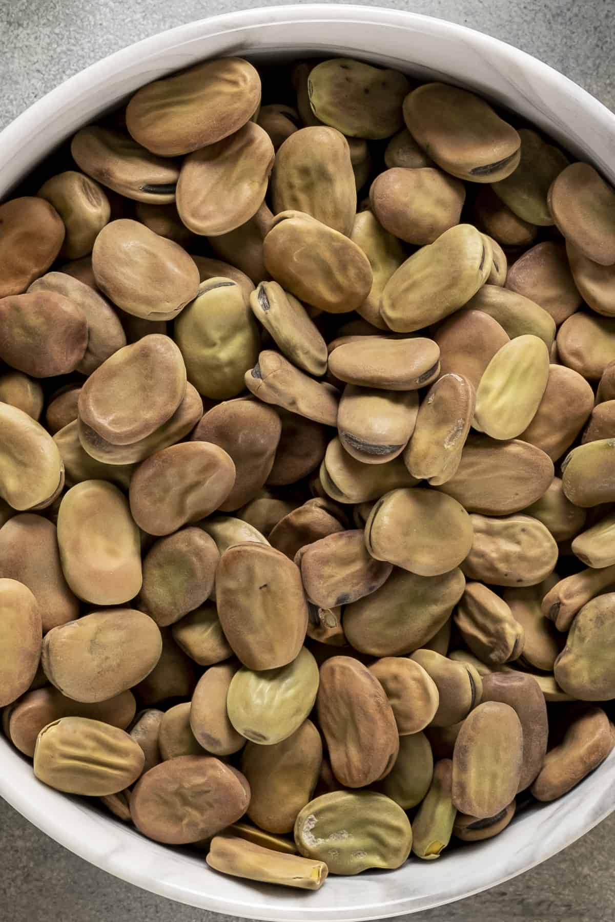 Dried fava beans in a white bowl.