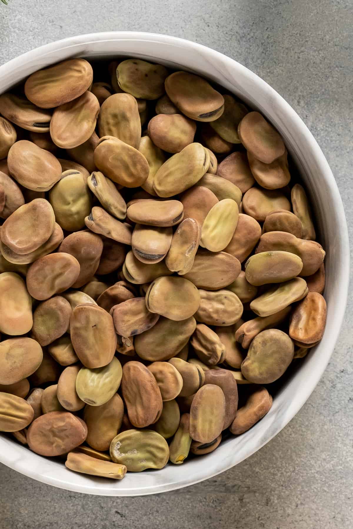 Dry broad beans in a white bowl.