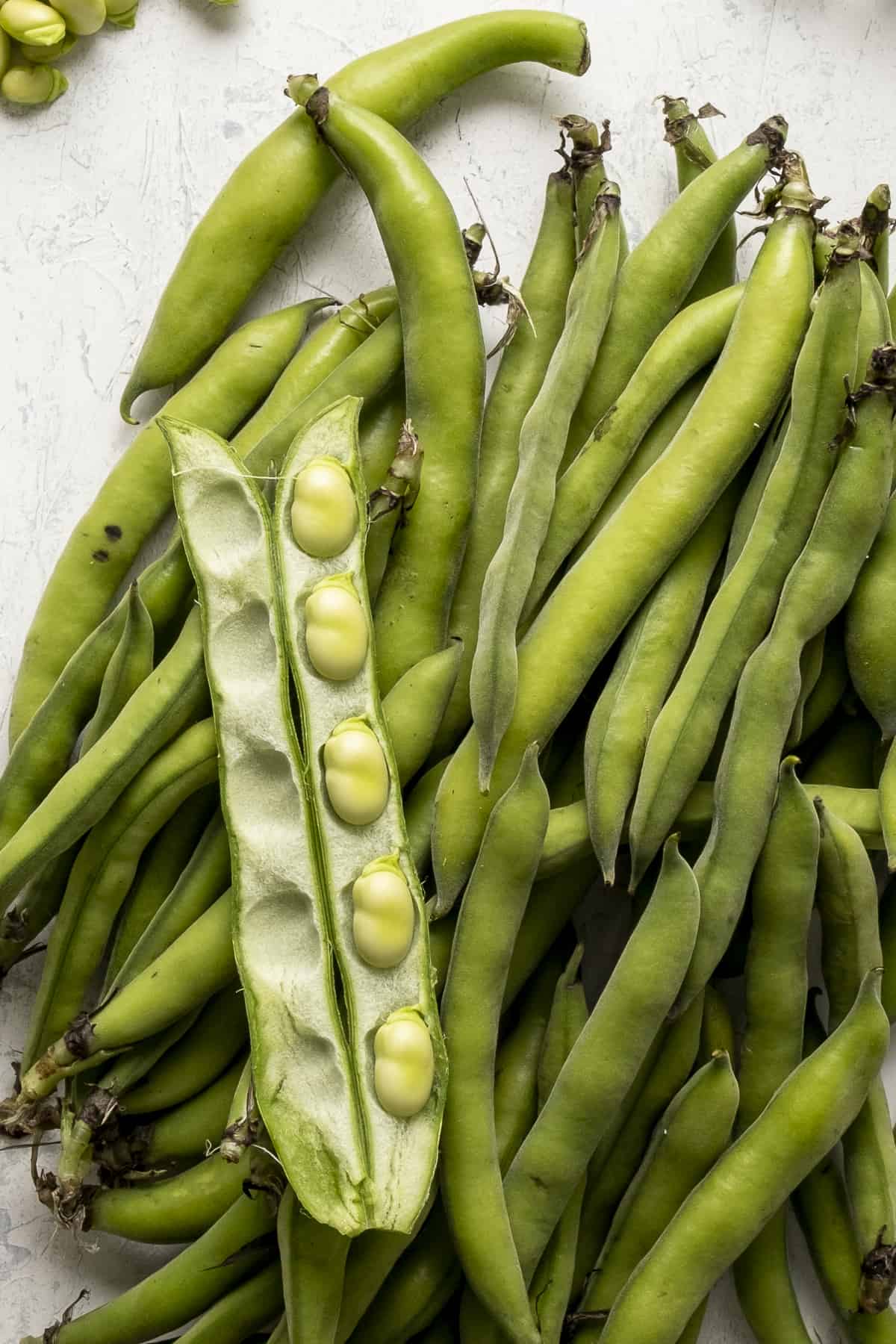 Fresh fava beans in pods, one is opened and placed on top of the others.