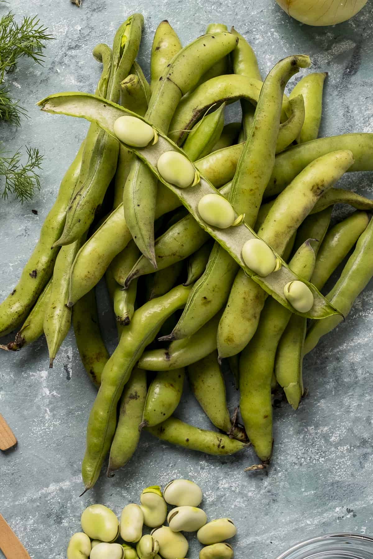 Fresh fava beans in their pods on a grey background.