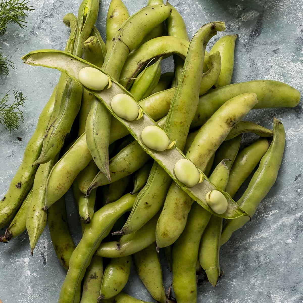 What Are Fava Beans (Broad Beans)? - Give Recipe