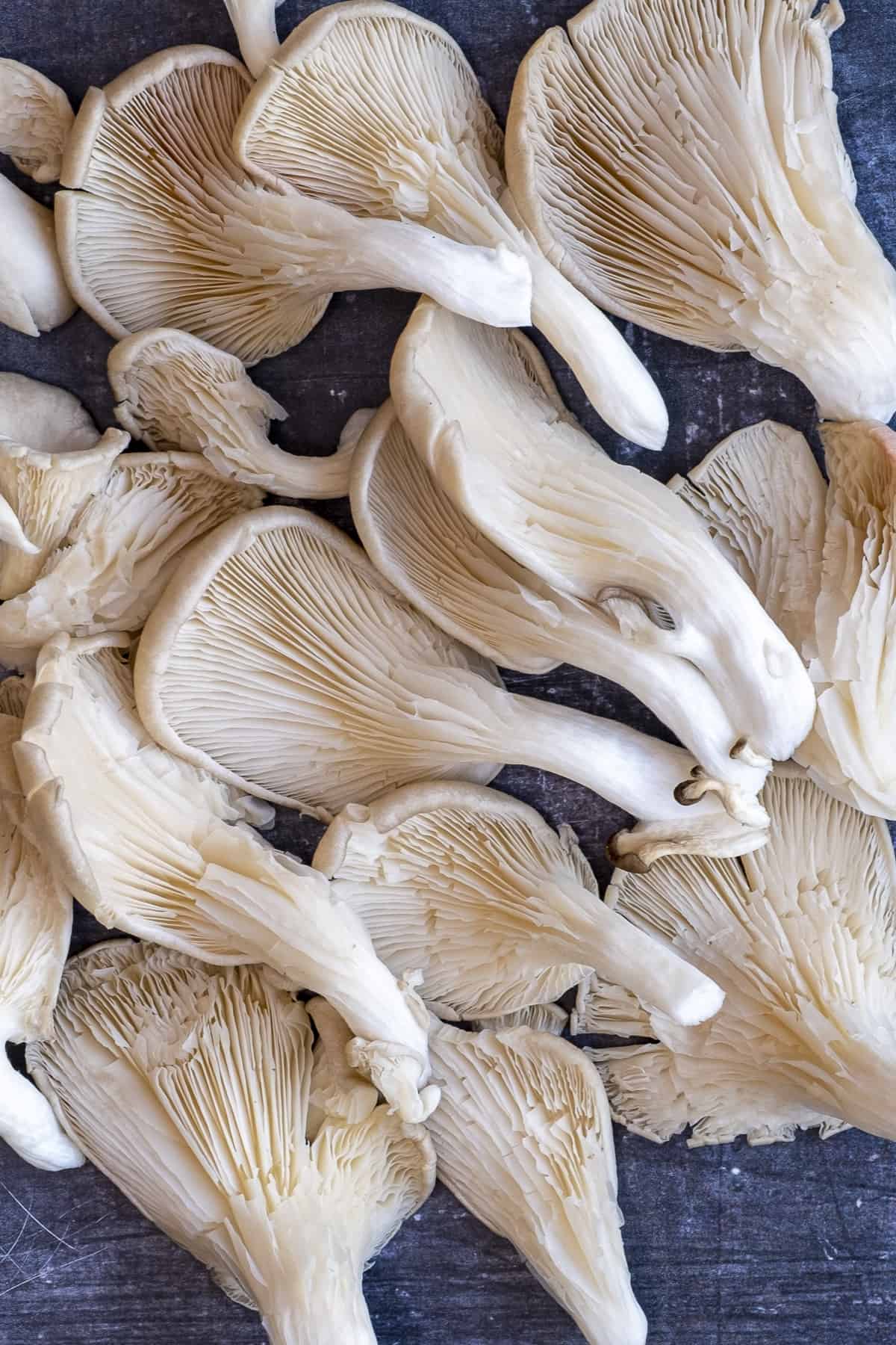 Oyster mushrooms on a dark background.