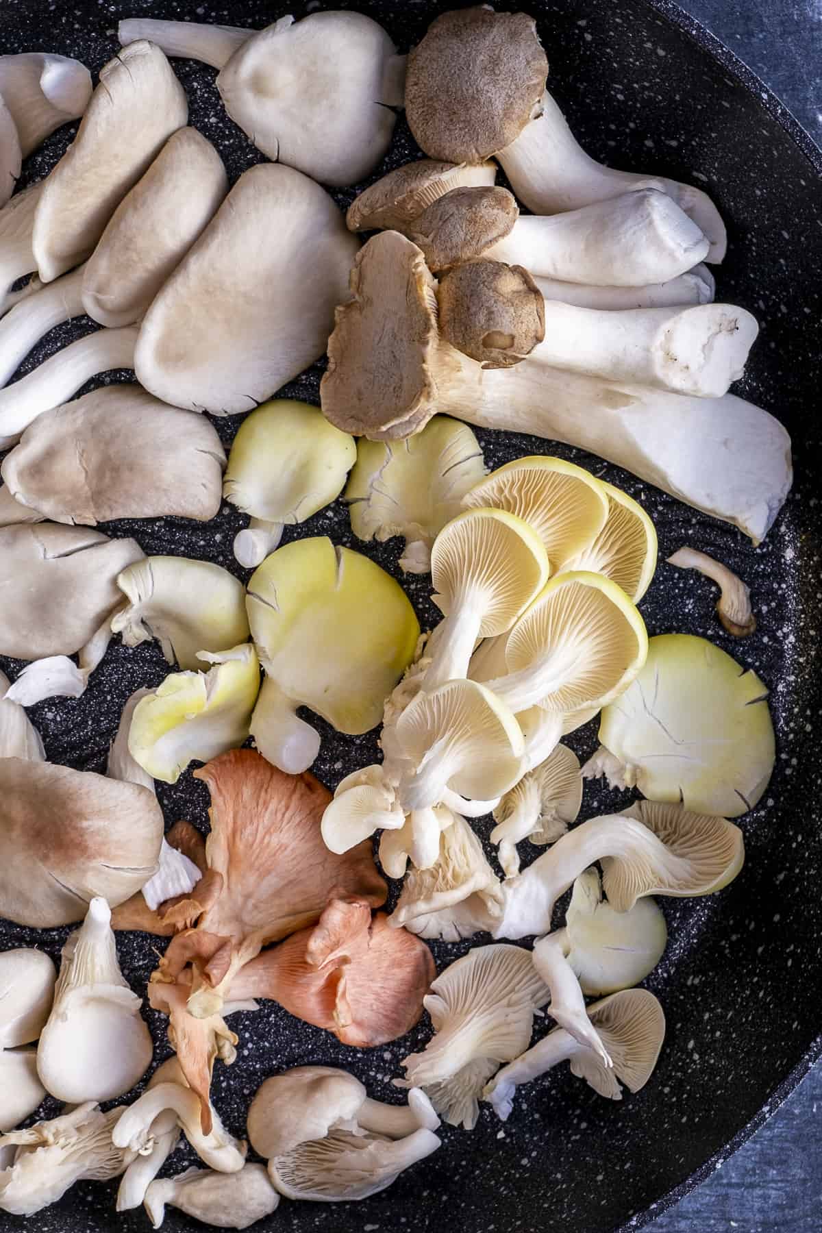 Grey, pink, yellow pearl oyster mushrooms and king oyster mushrooms together in a pan.