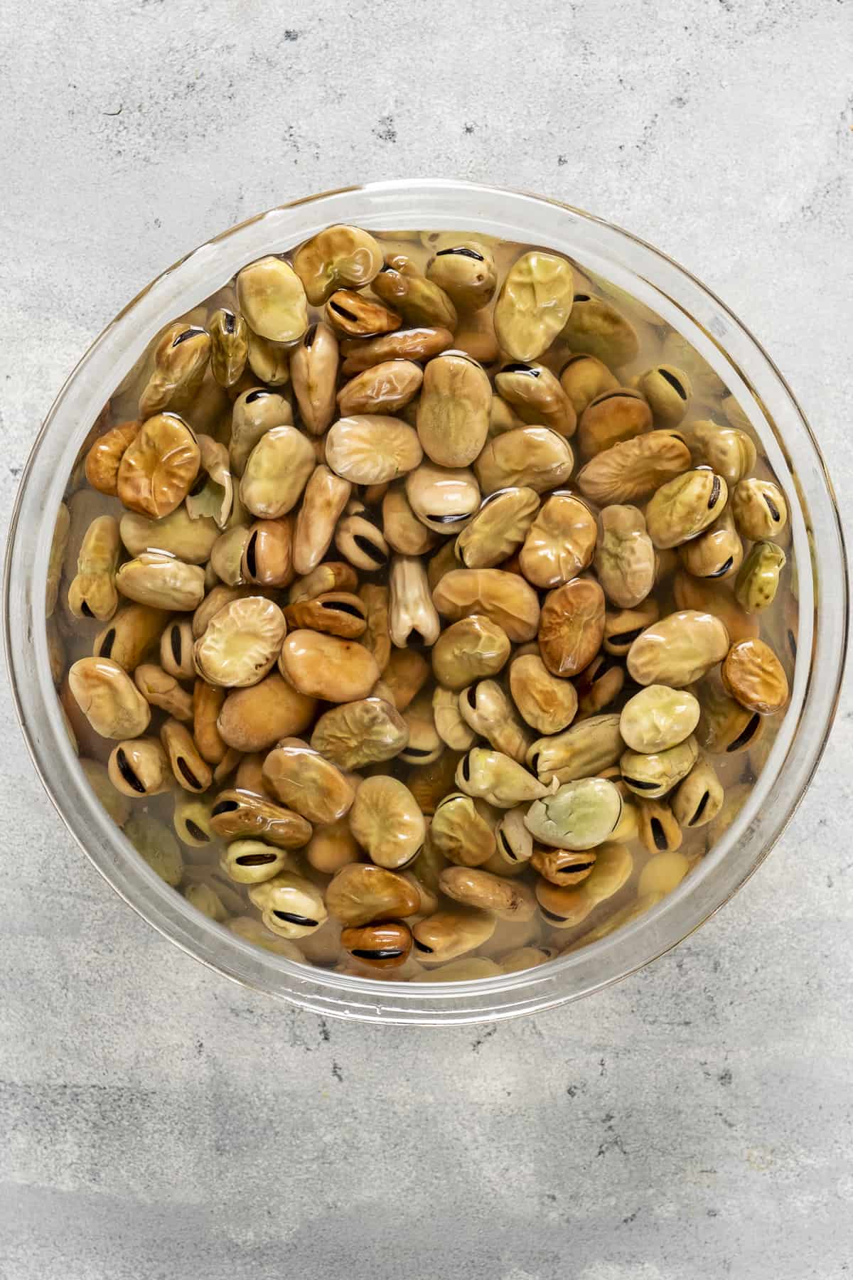 Dried fava beans soaking in a large glass bowl.