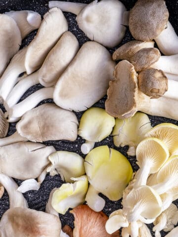 Grey, yellow, pink and king oyster mushrooms on a dark background.