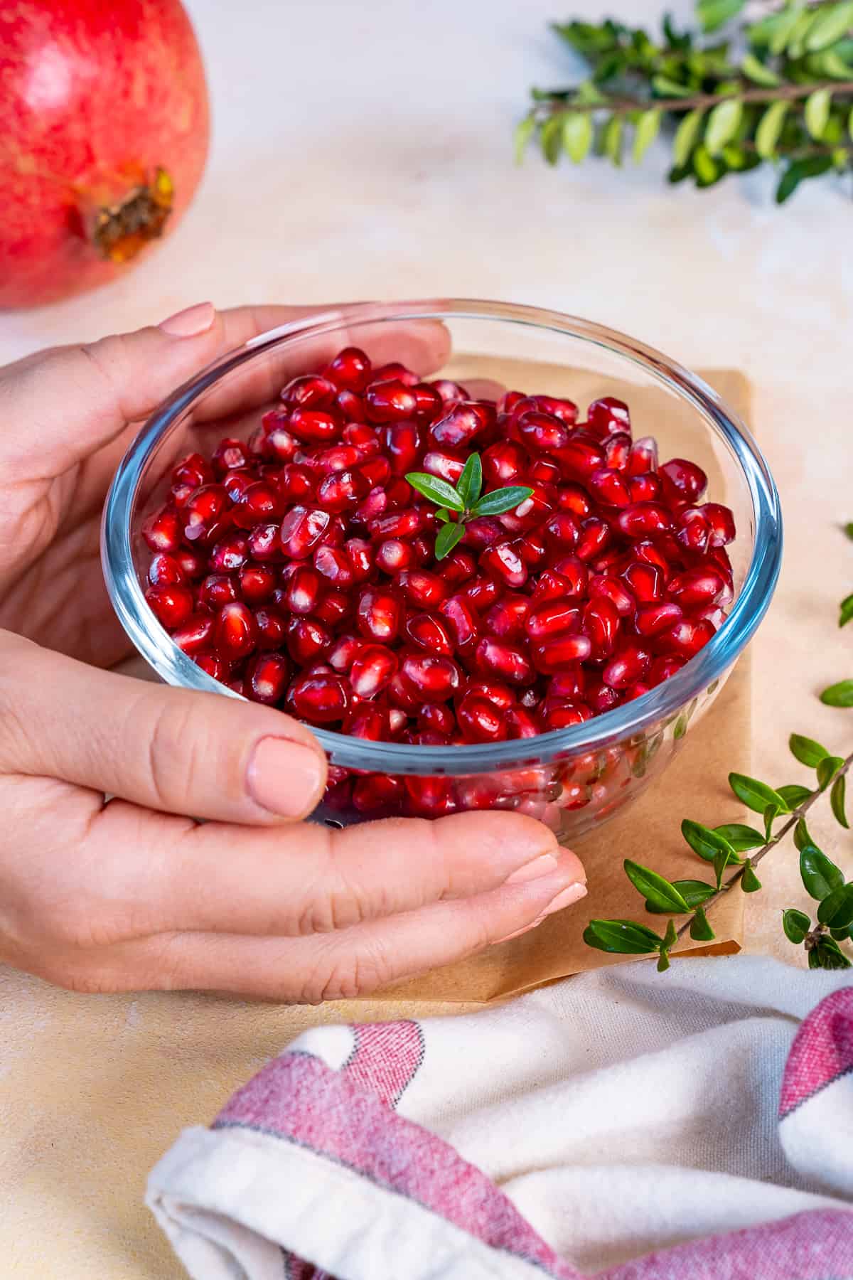 Hands holding a bowl of pomegranate seeds.