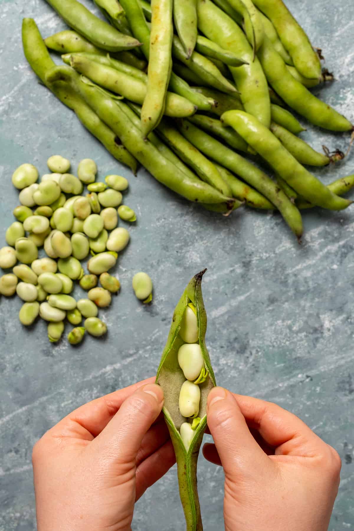 Hands removing fava beans from their pods.