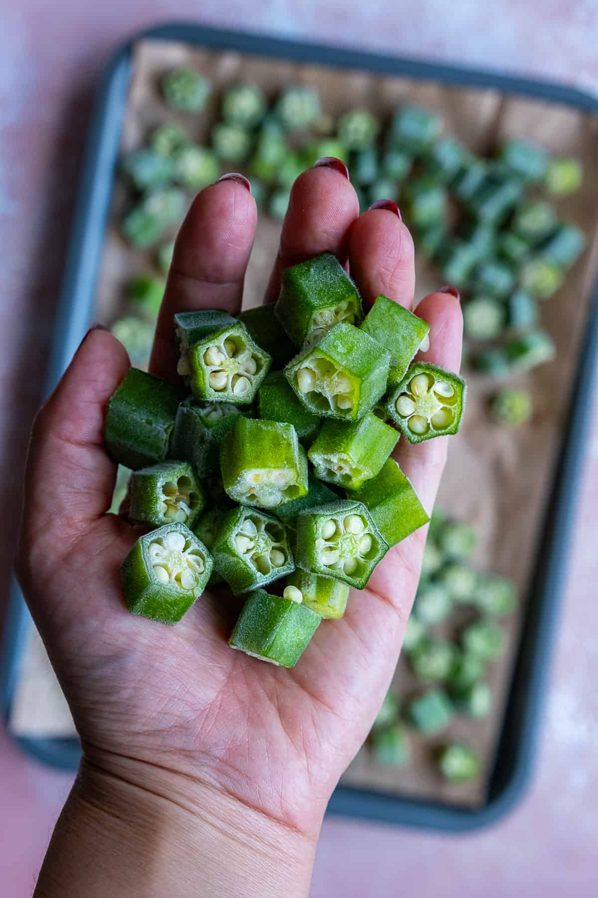 A hand holding round okra slices.