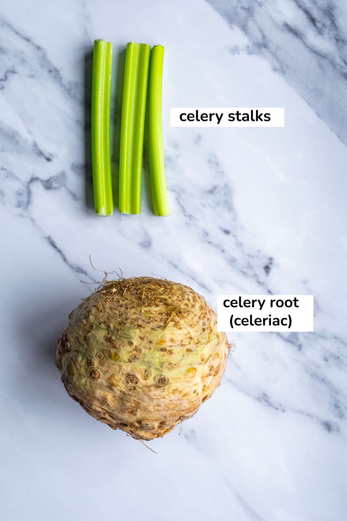 Celery stalks and celeriac photographed together on a white marble.