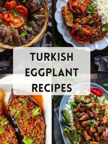 Collage of four Turkish eggplant dishes: eggplant kebab, eggplant musakka served with rice, karniyarik, and Ali Nazik kebab topped with lamb.
